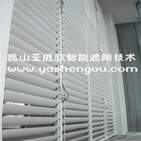Outdoor sunshade louver